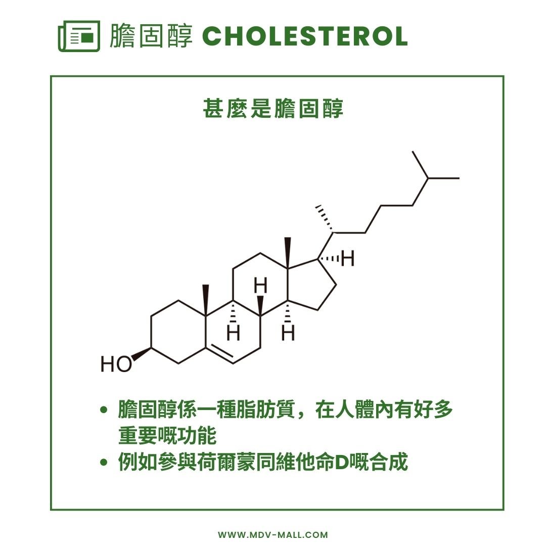 膽固醇(Cholesterol) 係咩？點解佢會影響你嘅心臟同中風風險？一文講清楚