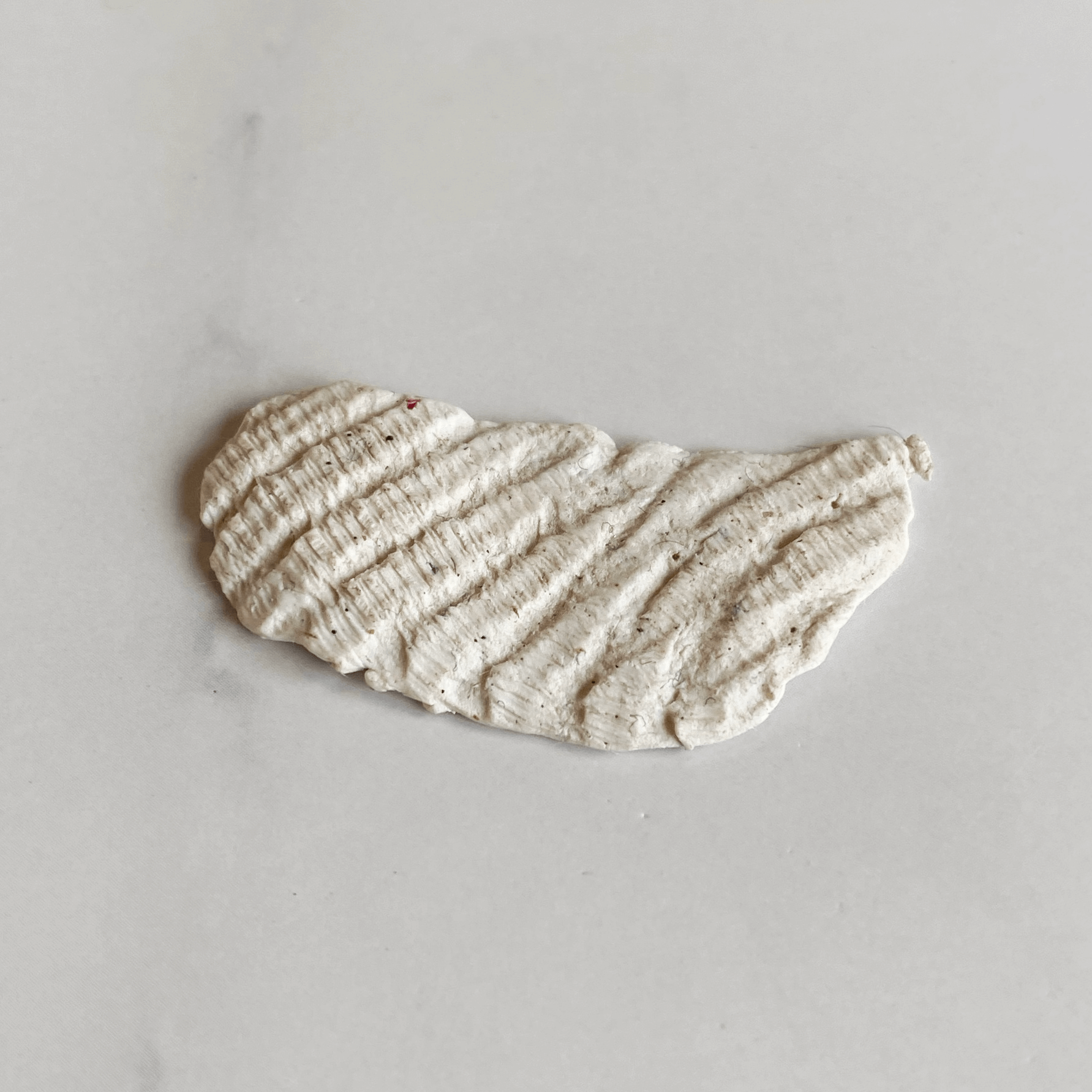 Scrap of polymer clay with texture resembling a weathered scallop shell