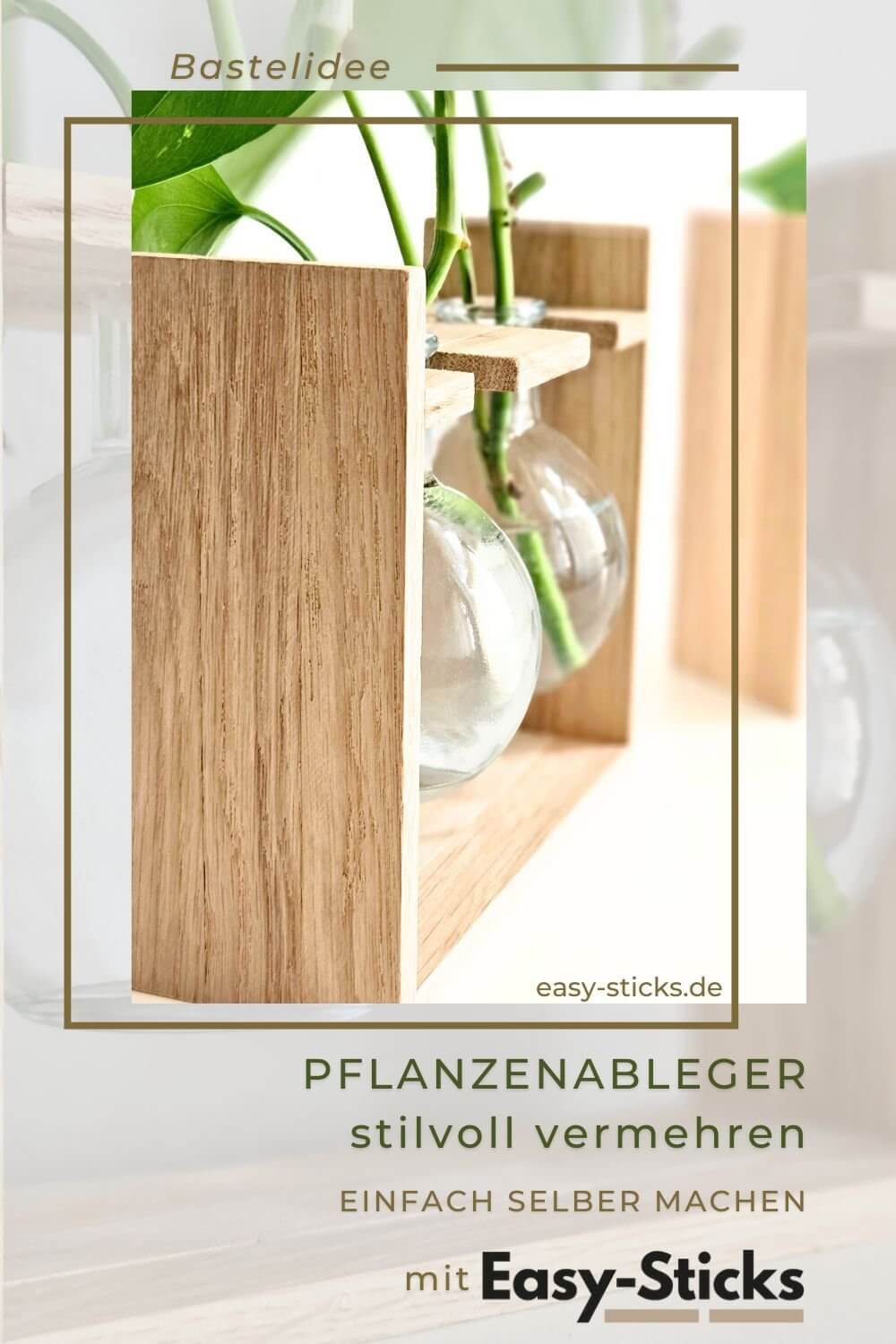 DIY Pflanzenvermehrungsstation – Einfach selber bauen