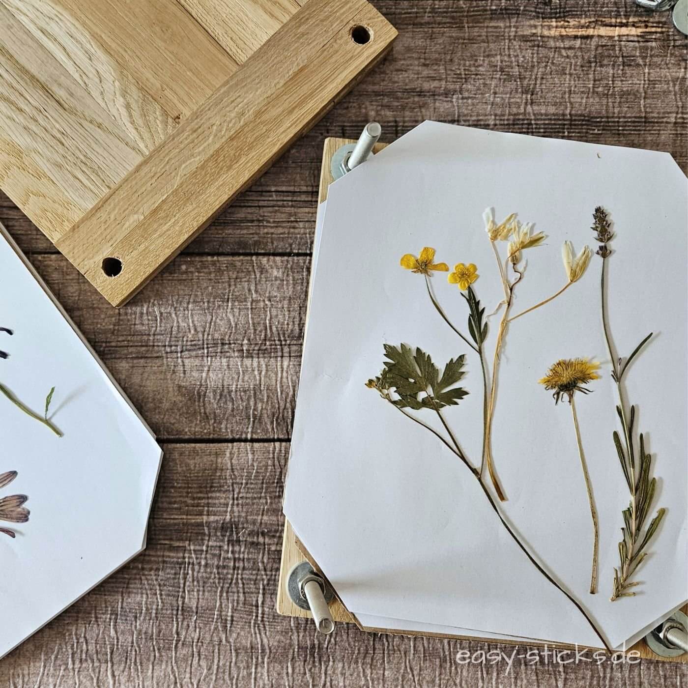 Selbst gebastelte Blumenpresse aus Easy-Sticks Holz mit gepressten Blumen auf dem Deckel