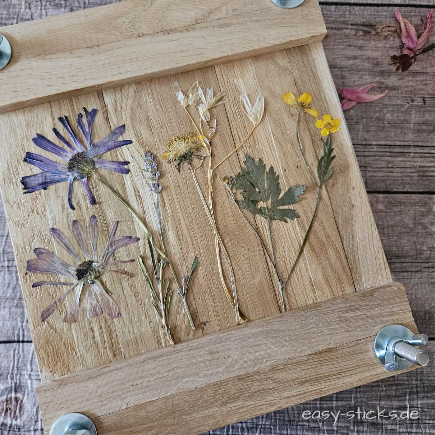  Blumenpresse kreativ verziert mit getrockneten Blumen und Serviettenkleber