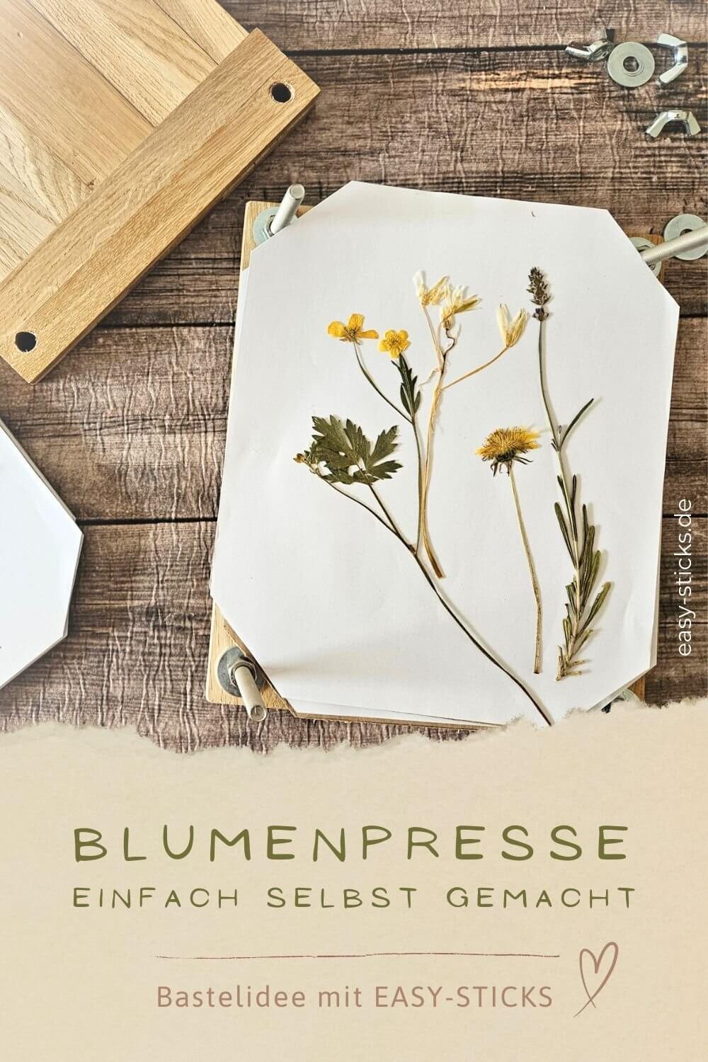 Selbst gebastelte Blumenpresse aus Easy-Sticks Holz mit gepressten Blumen auf dem Deckel