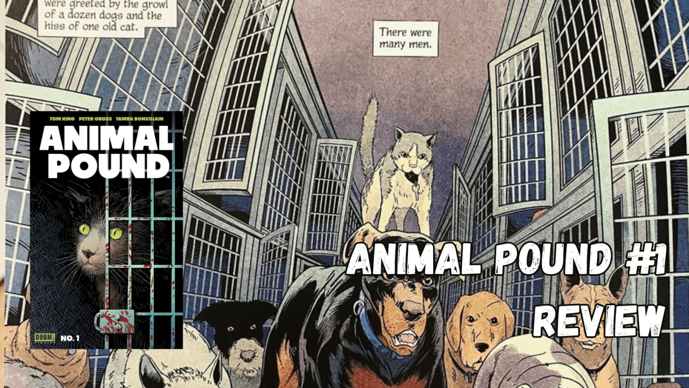 Animal Pound by Tom King #1 - Review