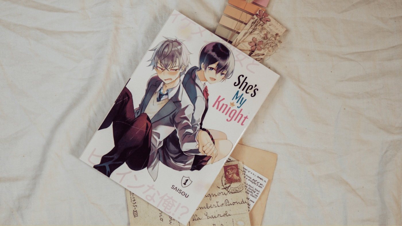 She's My Knight Vol. 1 - Review