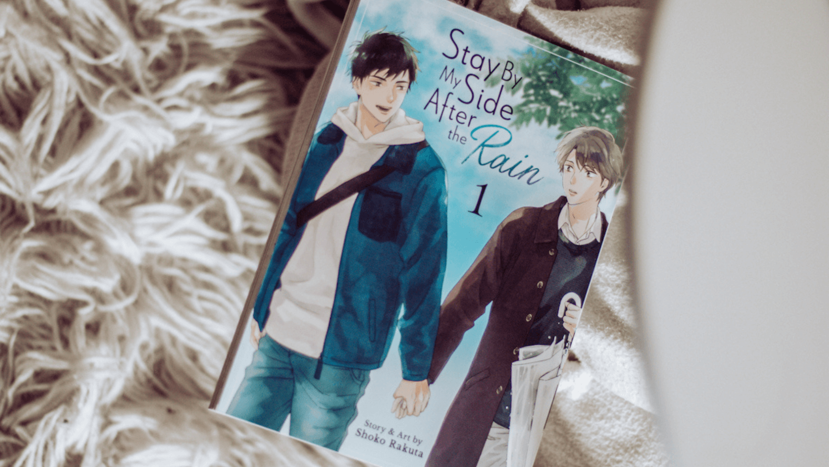 Stay By My Side After The Rain Vol. 1 - Manga Review