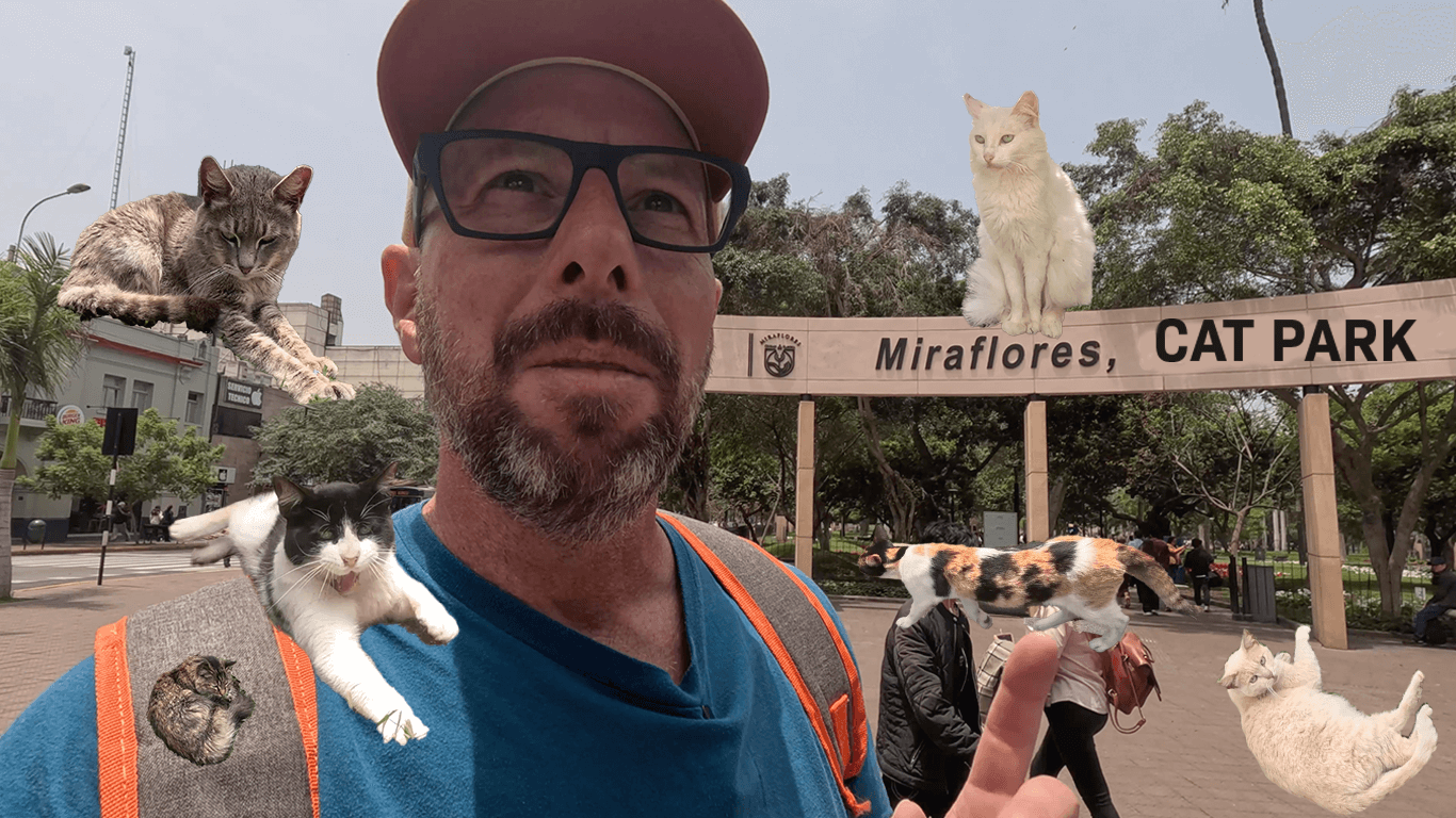 The Kennedy Park Cats in Miraflores, Peru