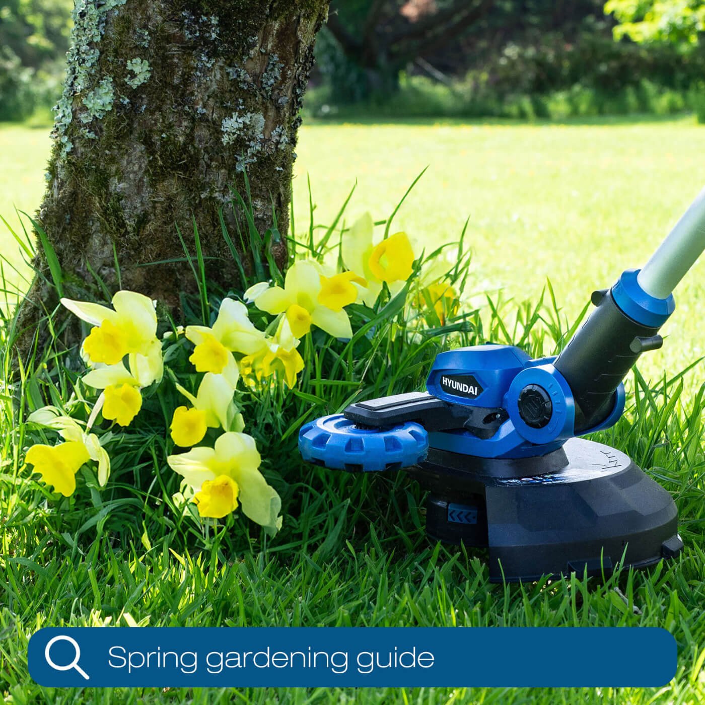 Spring Gardening: Preparing Your Garden for the New Season with Hyundai Power Products