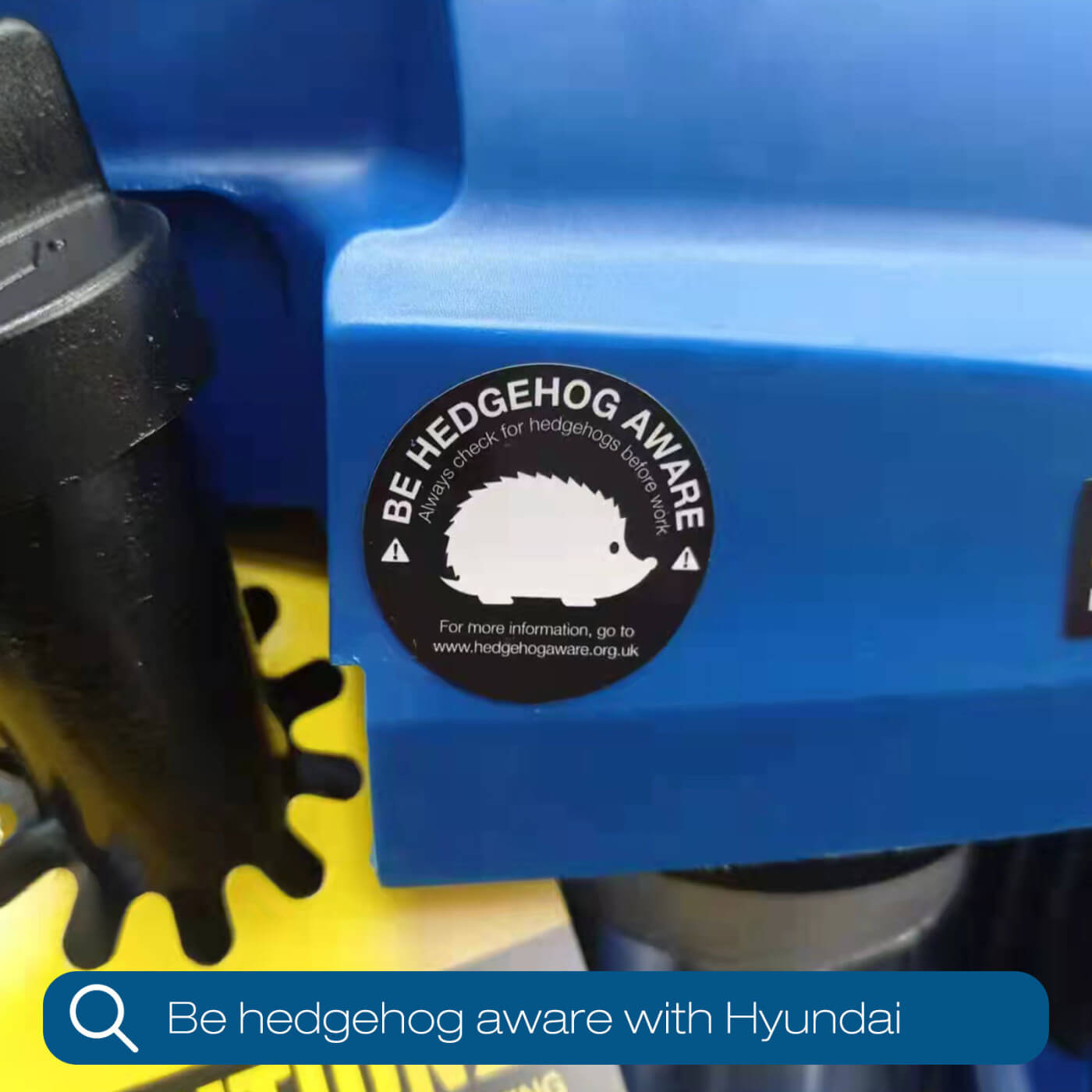Be Hedgehog Aware with Hyundai Power Products