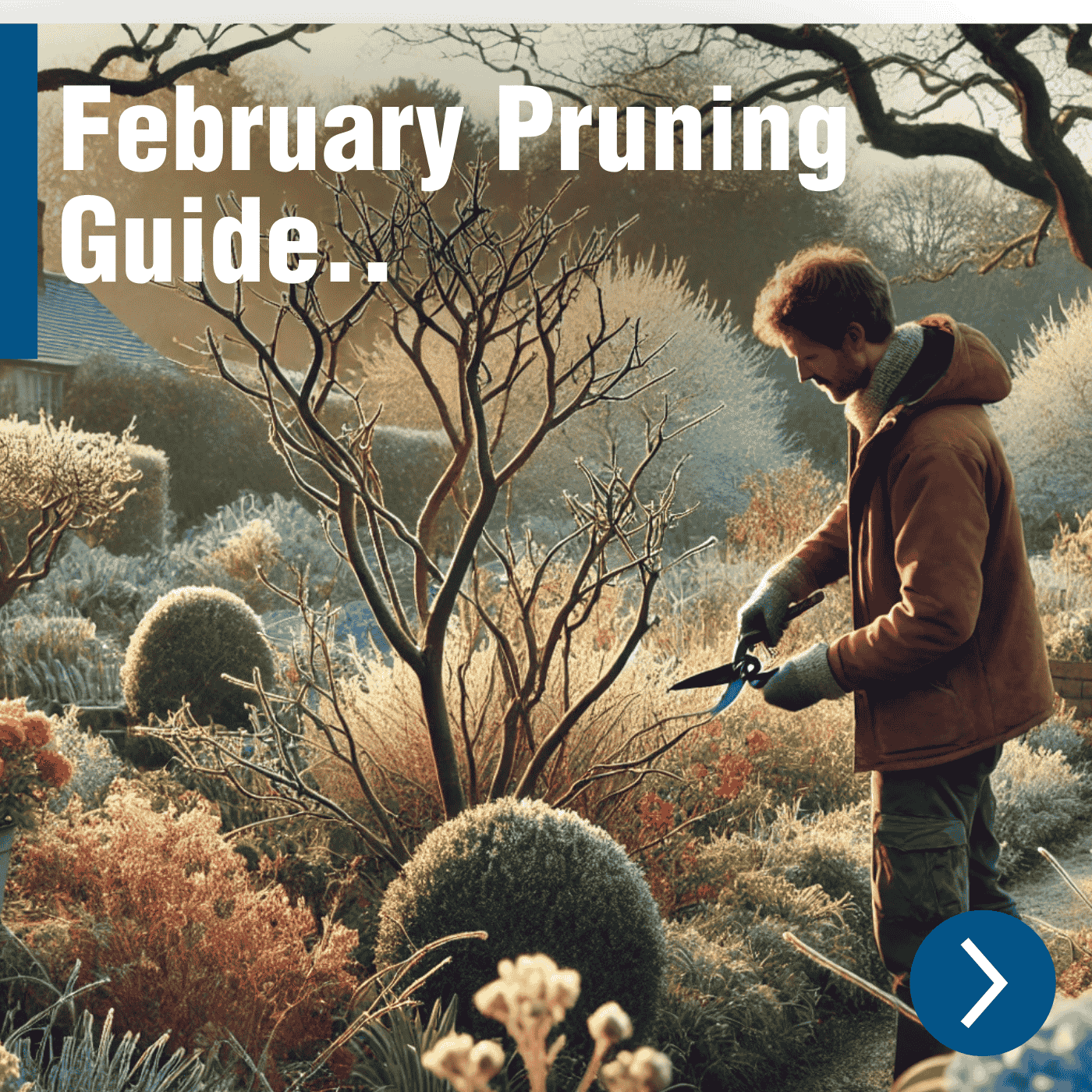 February Pruning Guide | Trees & Shrubs to Prune Now