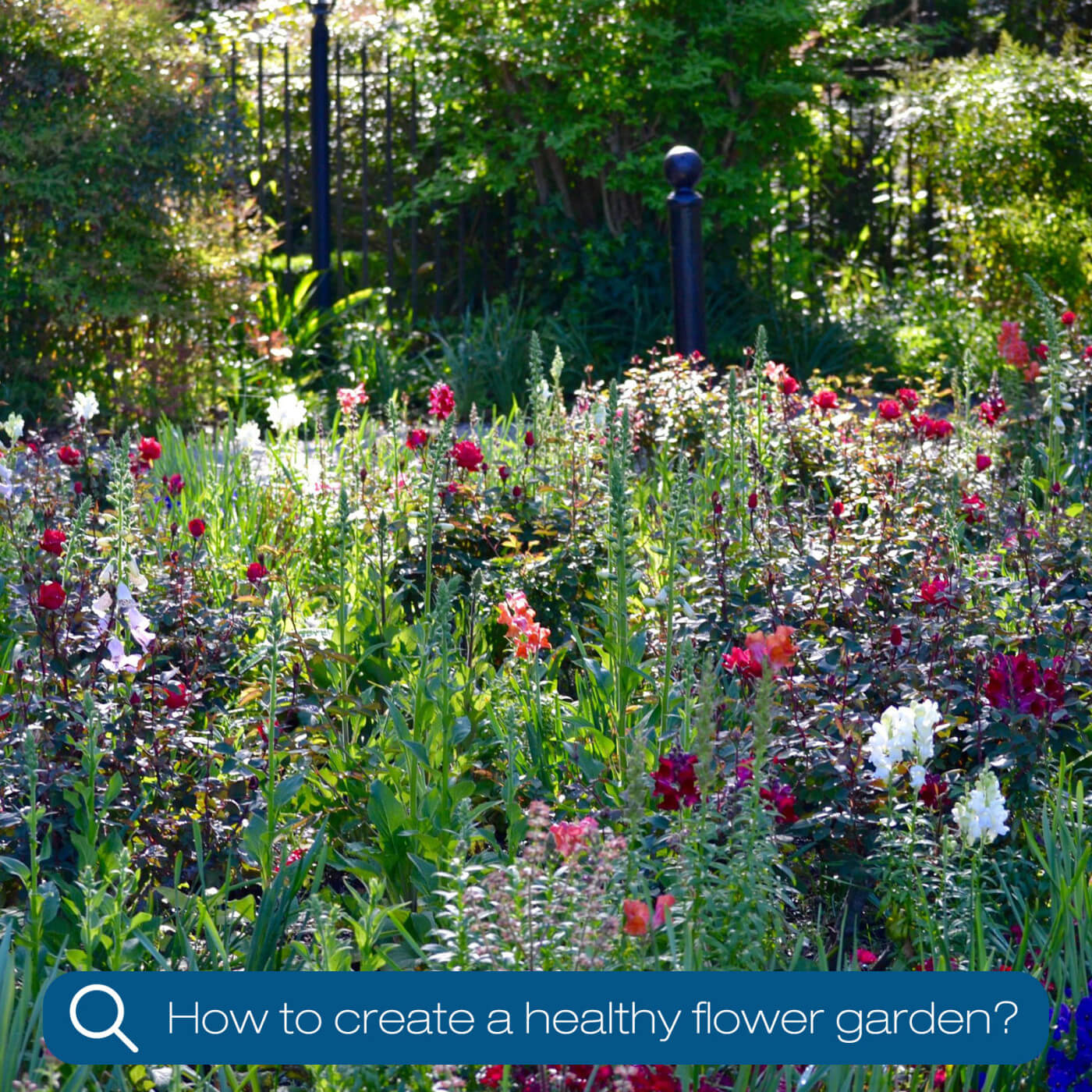 Create a Chelsea Flower Show, gold medal-worthy garden!