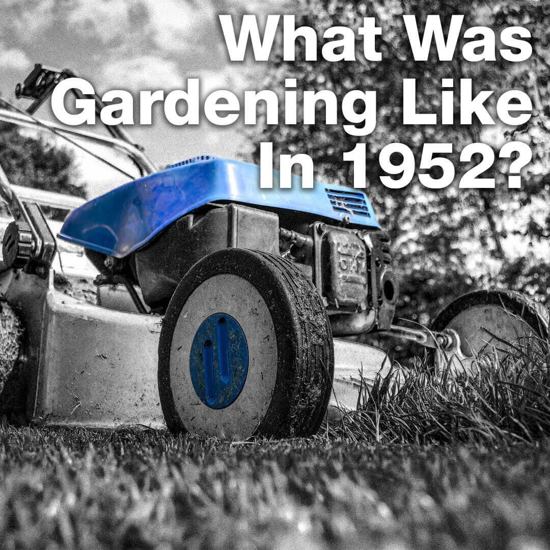 Gardening From the Coronation to the Jubilee: 1952 vs 2022