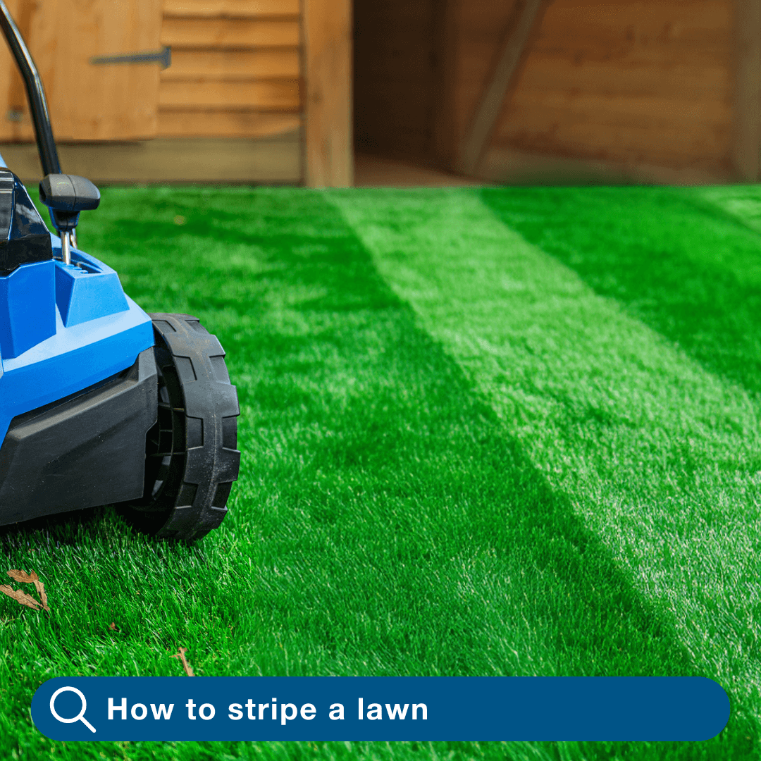 How to Stripe a Lawn? A Guide to That Classic Wimbledon Look