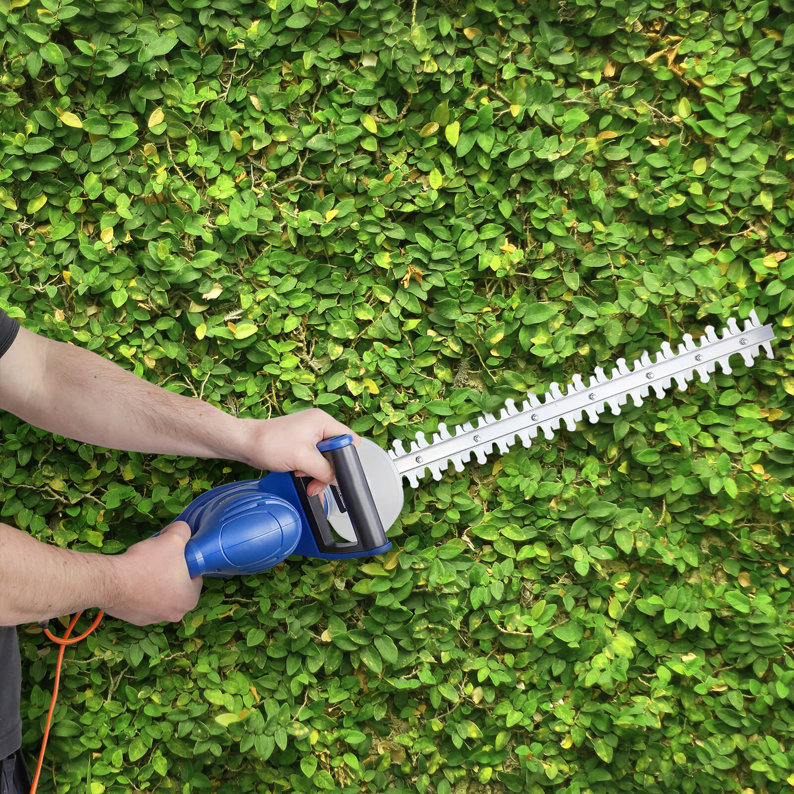 Which Is The Best Hedge Trimmer For You? | A Buying Guide