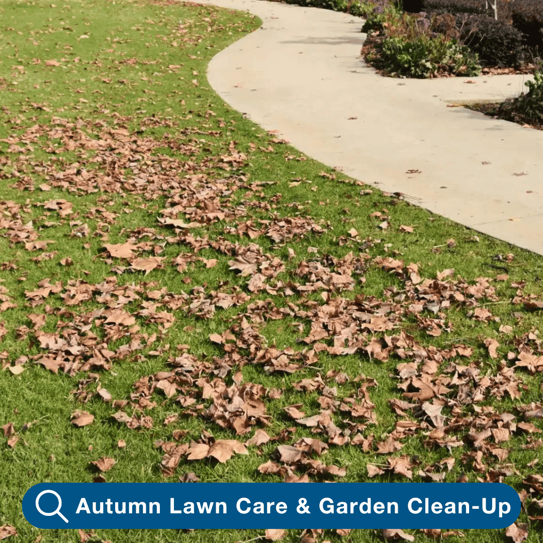 Lawn Care and Garden Clean-Up for Autumn - Part 1