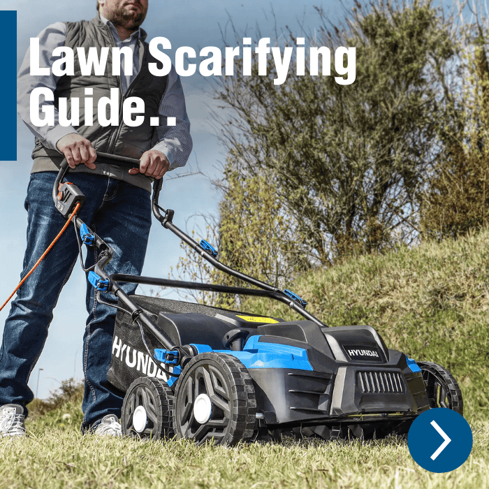 A Complete Guide to Scarifying Your Lawn