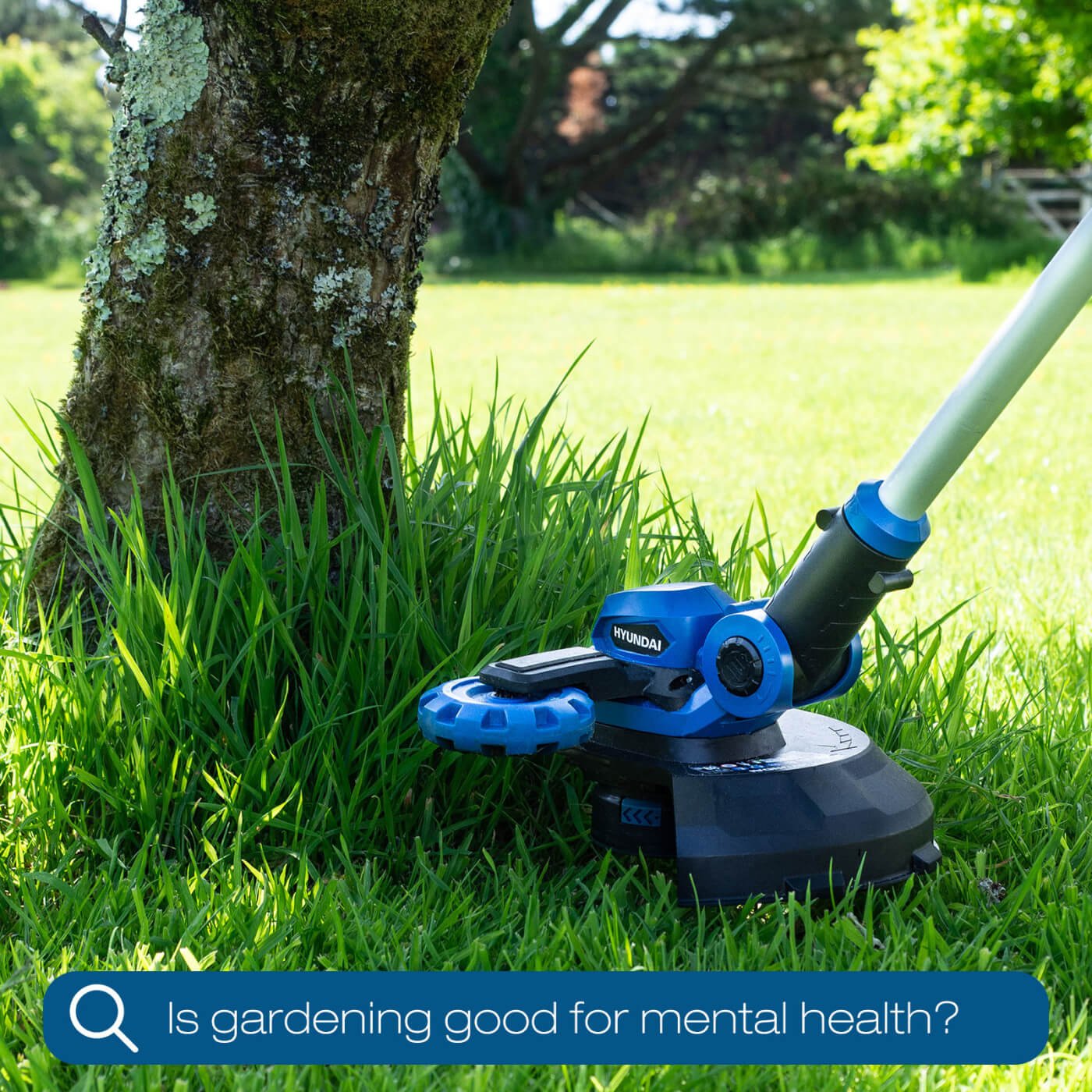 The Reasons Why DIY and Gardening is Good for Your Mental Health