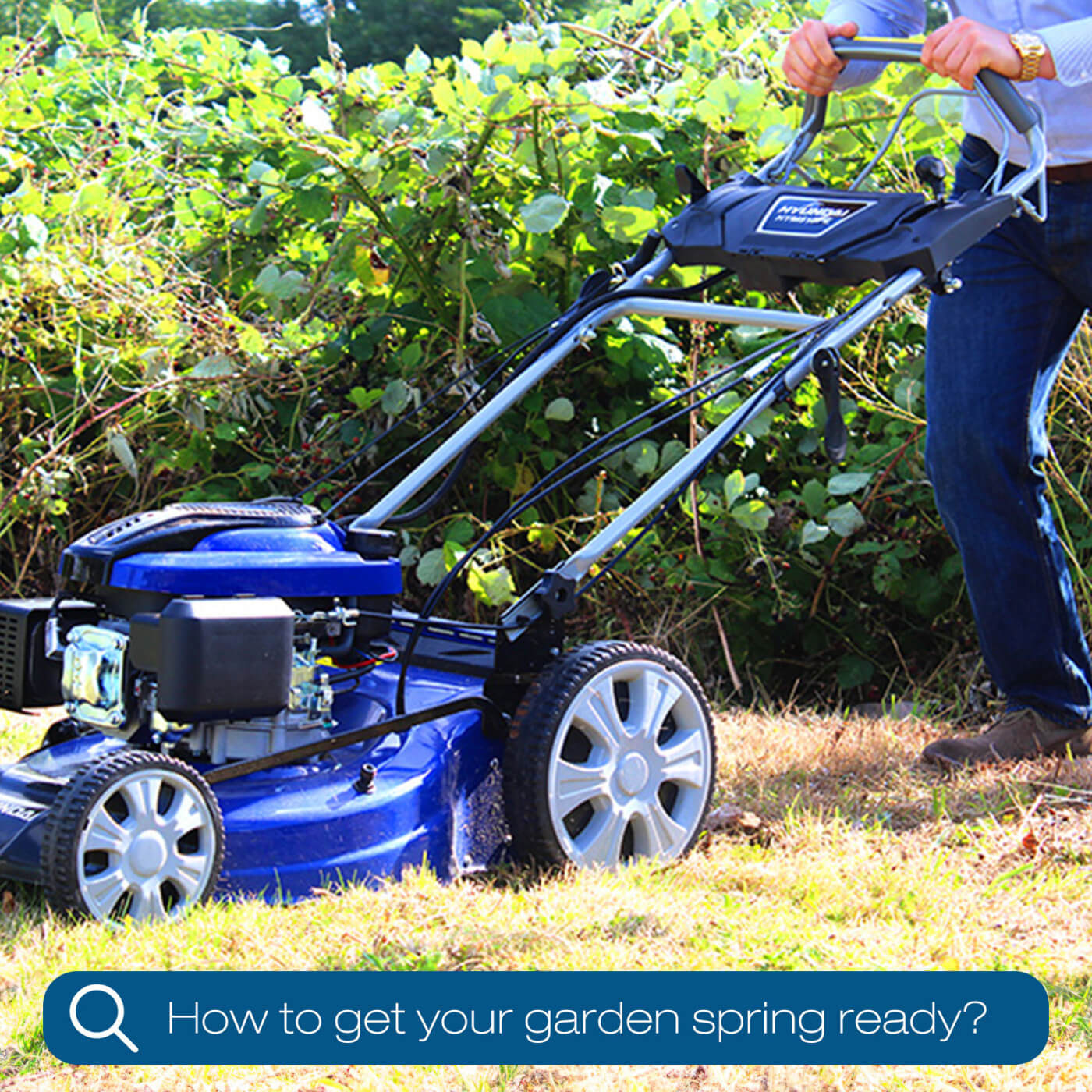 10 tips - How to get your garden ready for Spring / Summer 2023