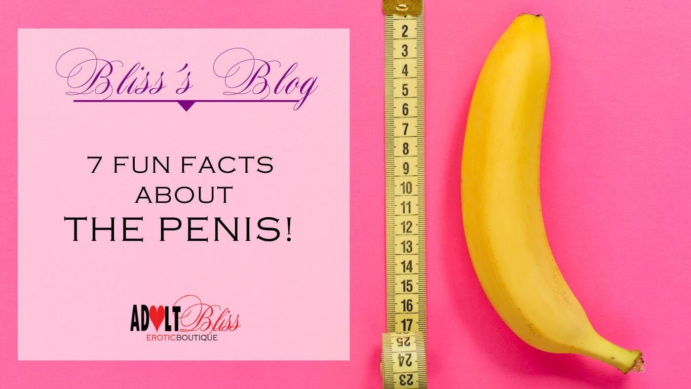 Does size matter? 7 Penis Facts Everyone Should Know!