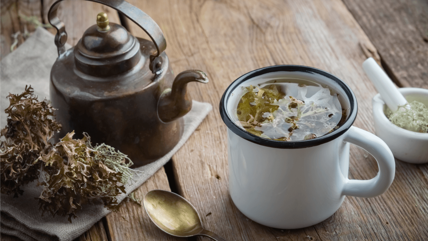 Can You Put Sea Moss Gel in Tea: Make It for Health Benefits