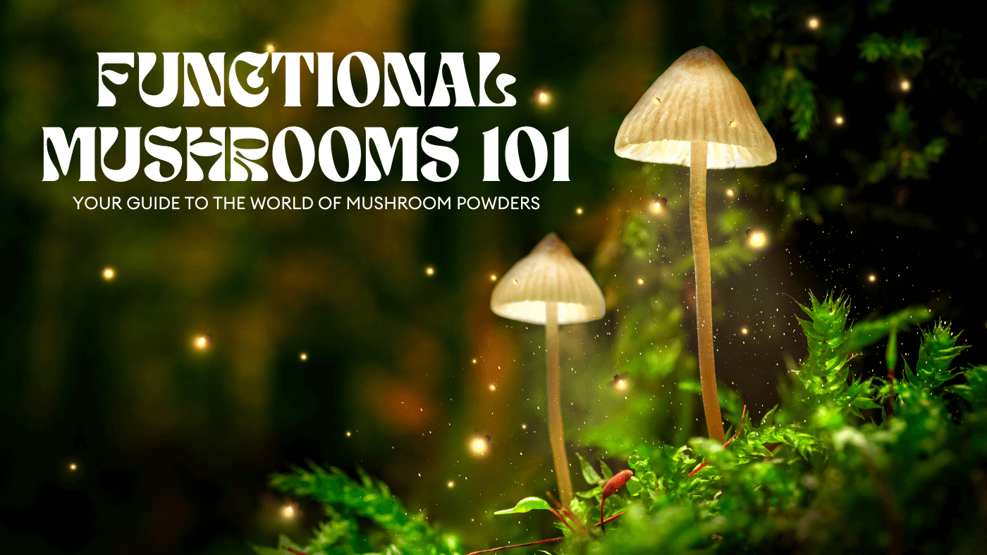 Functional Mushrooms 101: Your Guide to Mushroom Powders