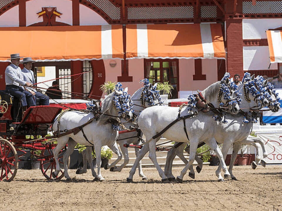 Spring is the Best Time to Visit Andalusia