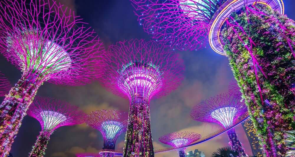 the super trees in Singapore light up against the night sky 