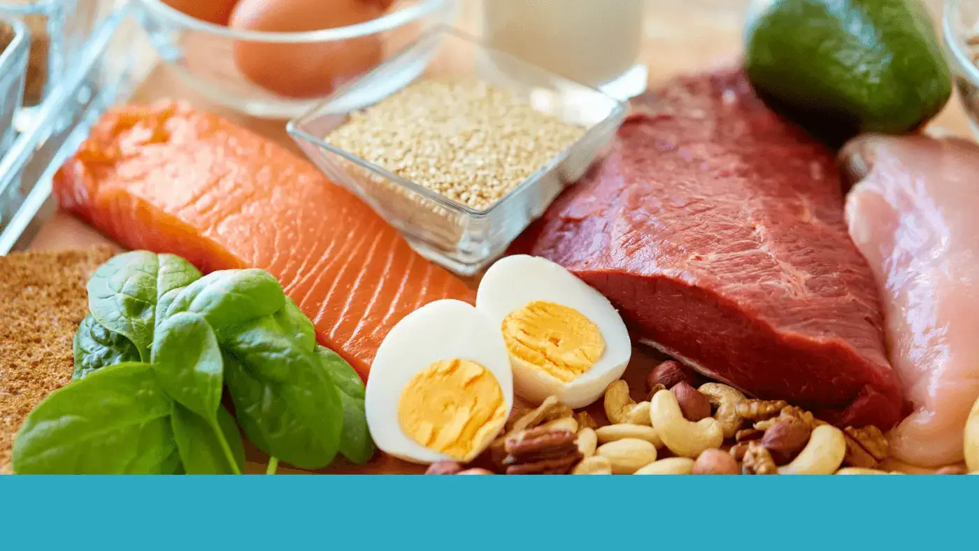 Protein Myths Busted: The Importance of Muscle Health and Dietary Protein in Aging