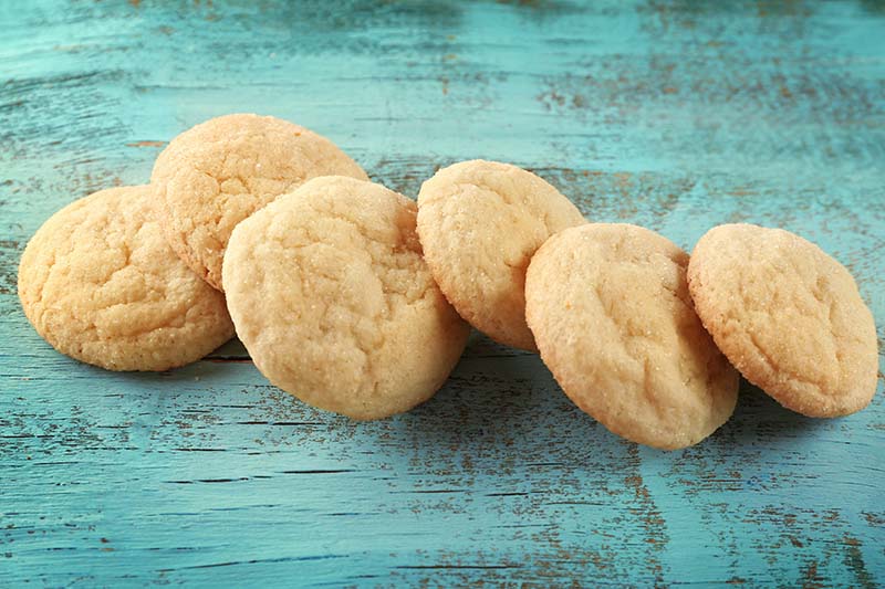 Monika's Molecular Meals: Dairy-Free Sugar Cookies That Are Good For You!