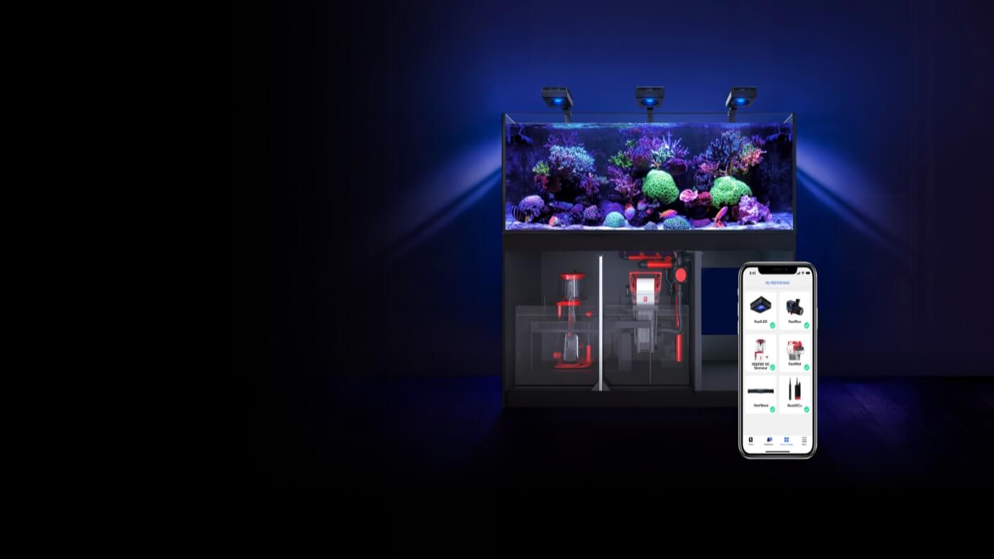 Technological Integration in Marine Aquariums