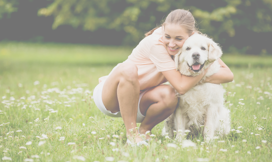 Top 5 Proven Dog Wellness Tips for Healthy & Happy Dog