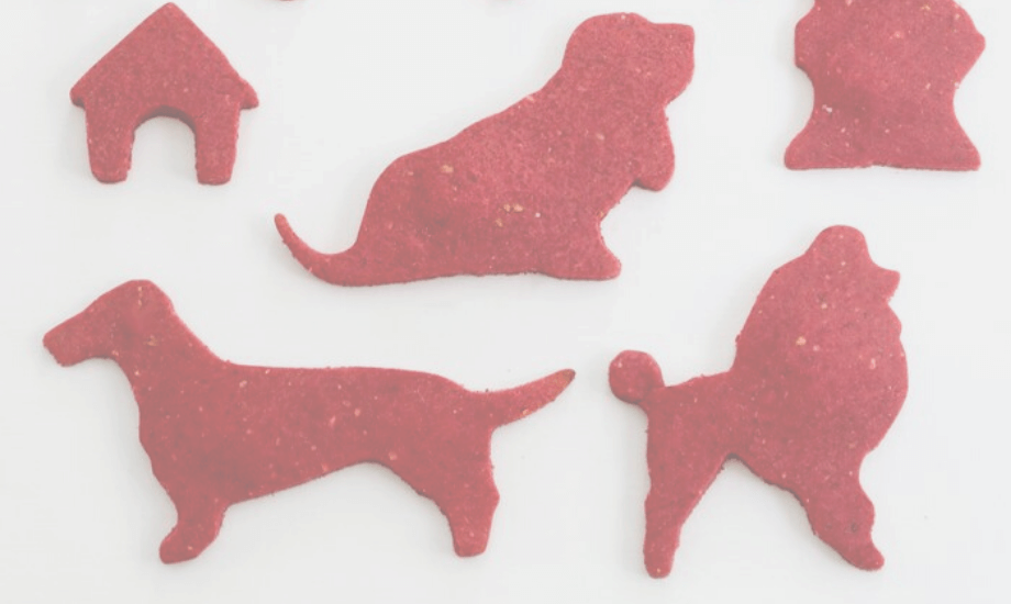 Festive Christmas Dog Treats: Holiday Recipes for Your Pup