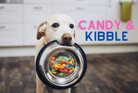 Candy and Kibble