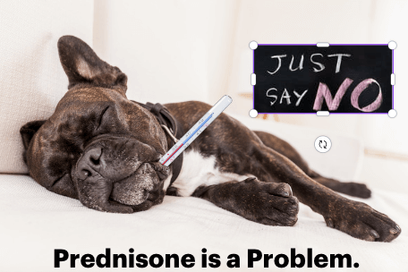 Prednisone is a Problem