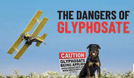 Glyphosate is Making Your Dog Sick