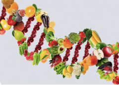 Nutrition is More Important than DNA