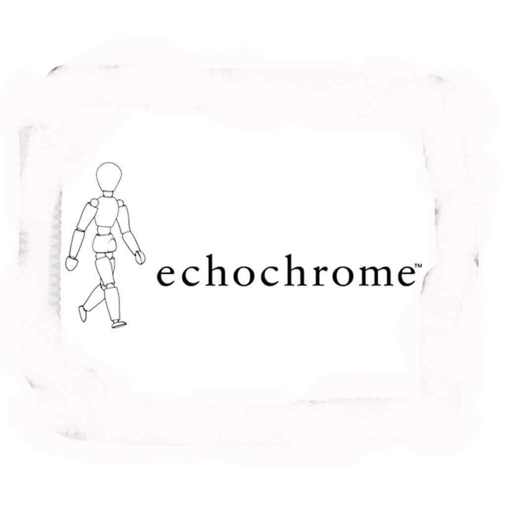 playstation echochrome