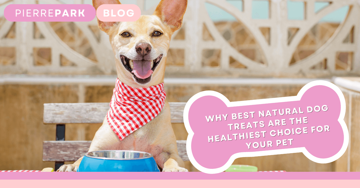 Why Best Natural Dog Treats are the Healthiest Choice for Your Pet