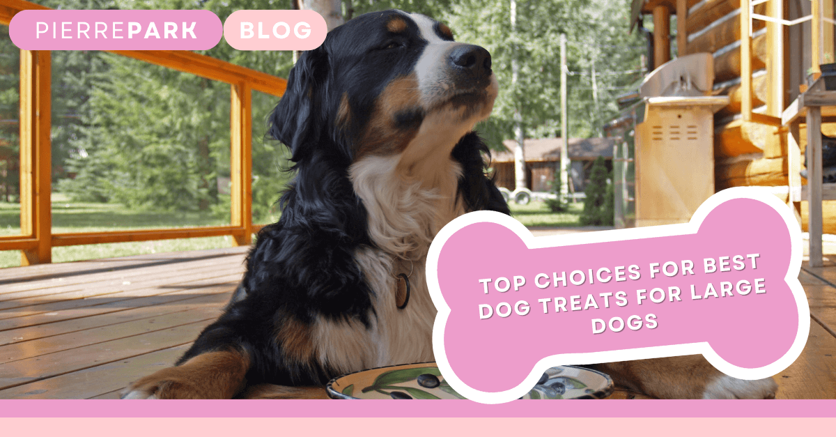 Top Choices for Best Dog Treats for Large Dogs