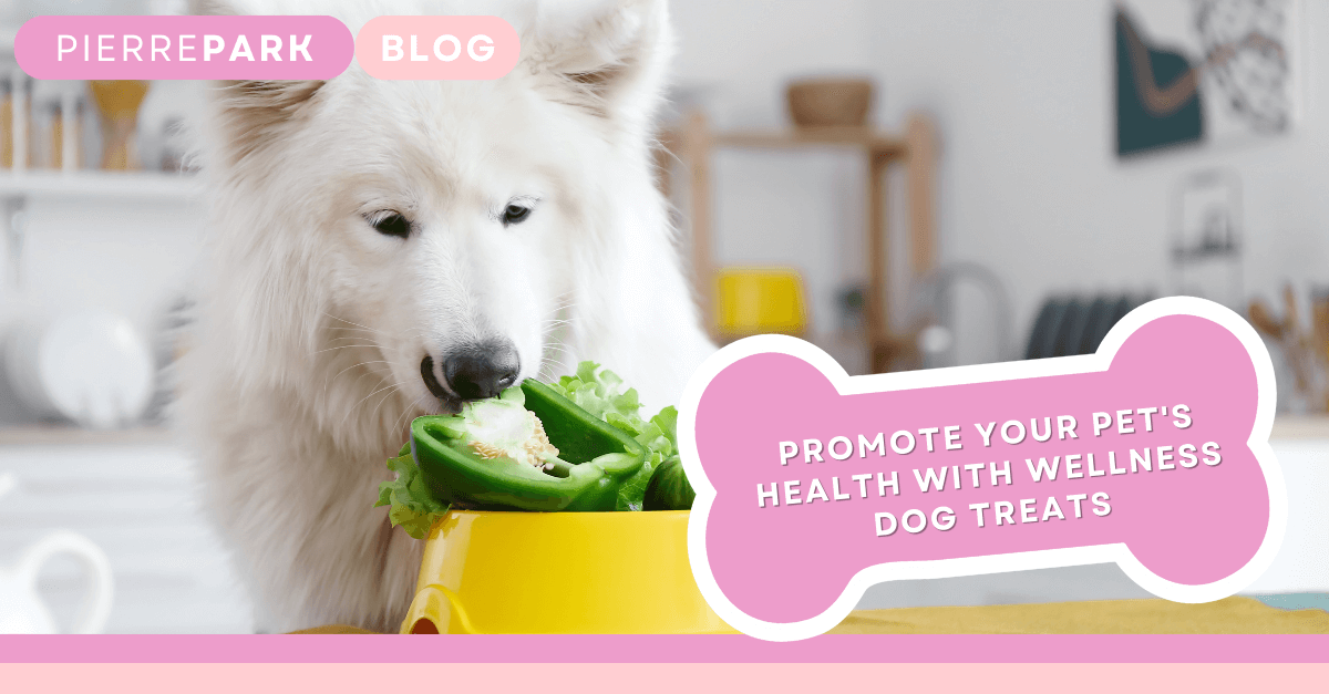 Promote Your Pet's Health with Wellness Dog Treats