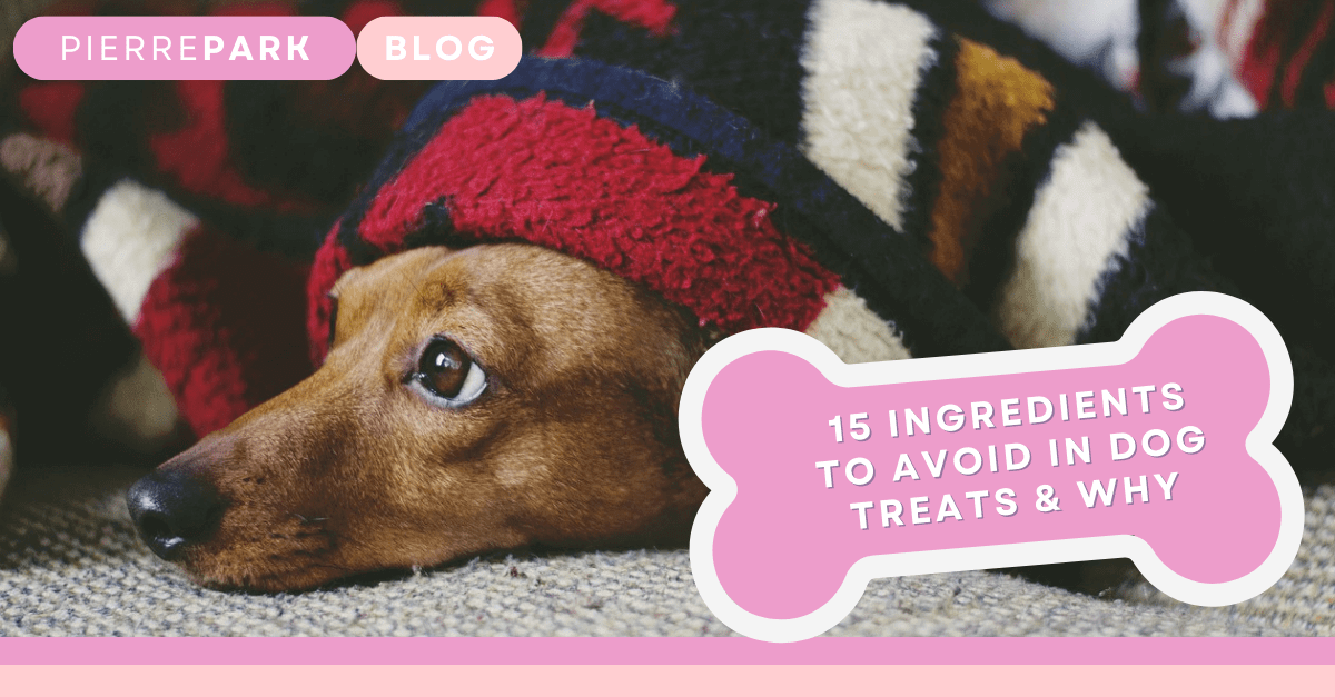 15 Ingredients To Avoid In Dog Treats