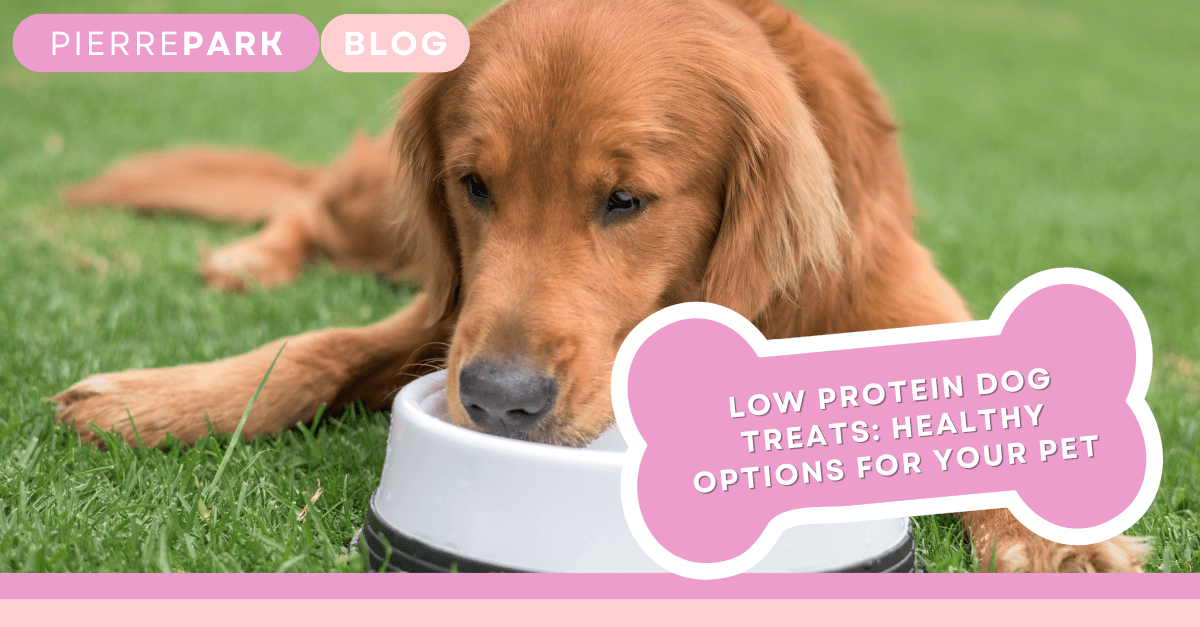 Low Protein Dog Treats: Healthy Options for Your Pet