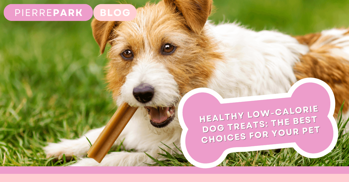 Healthy Low Calorie Dog Treats: The Best Choices for Your Pet