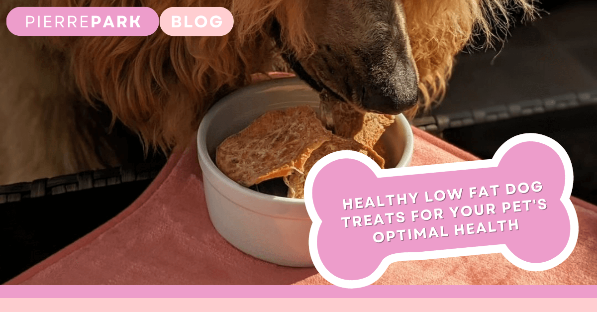 Healthy Low Fat Dog Treats for Your Pet's Optimal Health