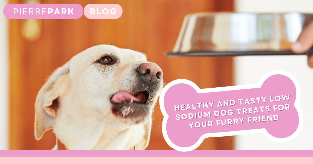 Healthy and Tasty Low Sodium Dog Treats for Your Furry Friend