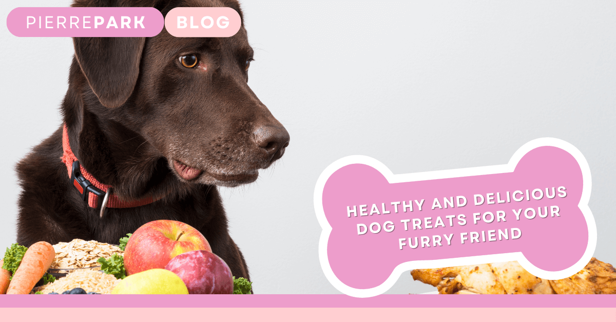 Healthy and Delicious Dog Treats for Your Furry Friend