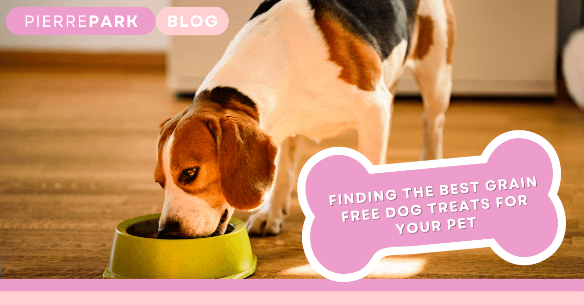 Finding the Best Grain Free Dog Treats for Your Pet