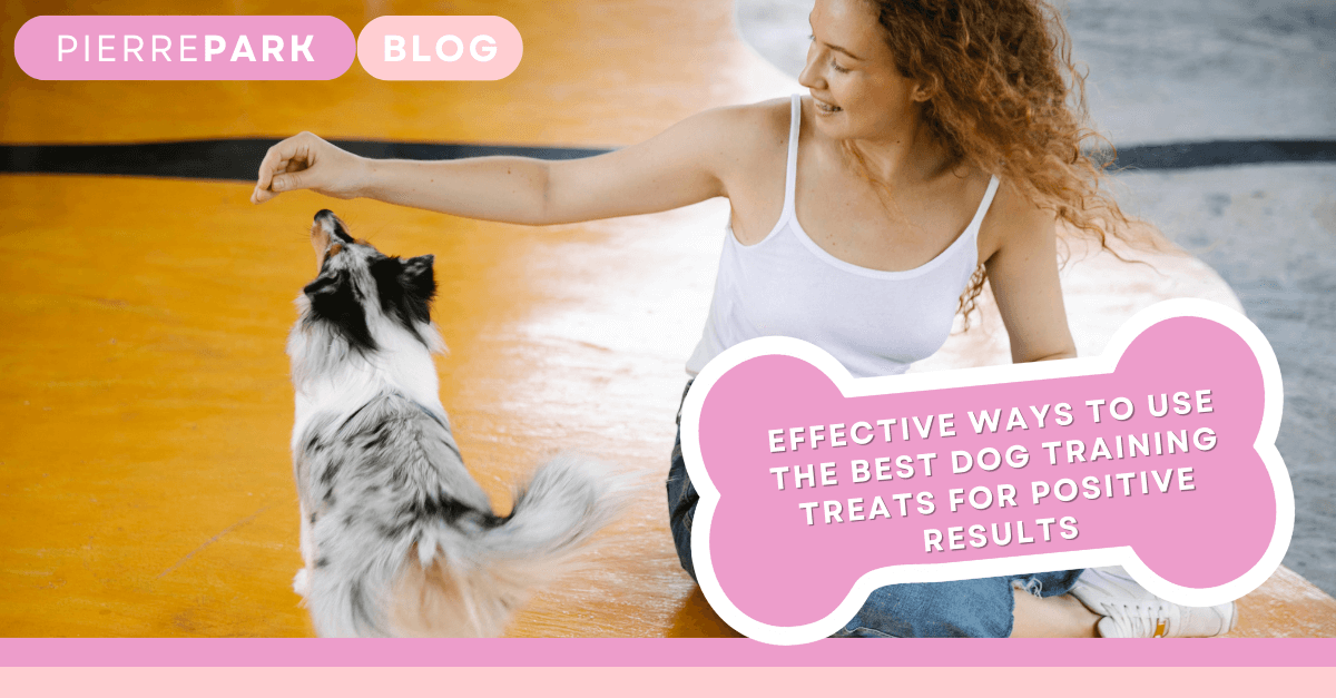 Effective Ways to Use the Best Dog Training Treats for Positive Results