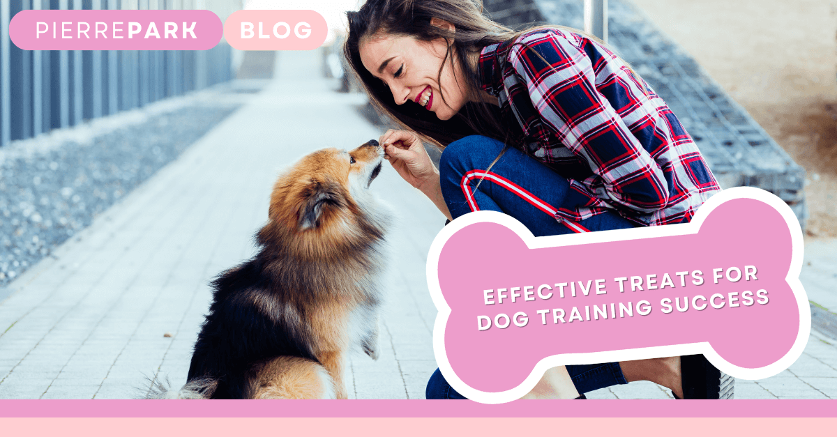 Effective Treats for Dog Training Success