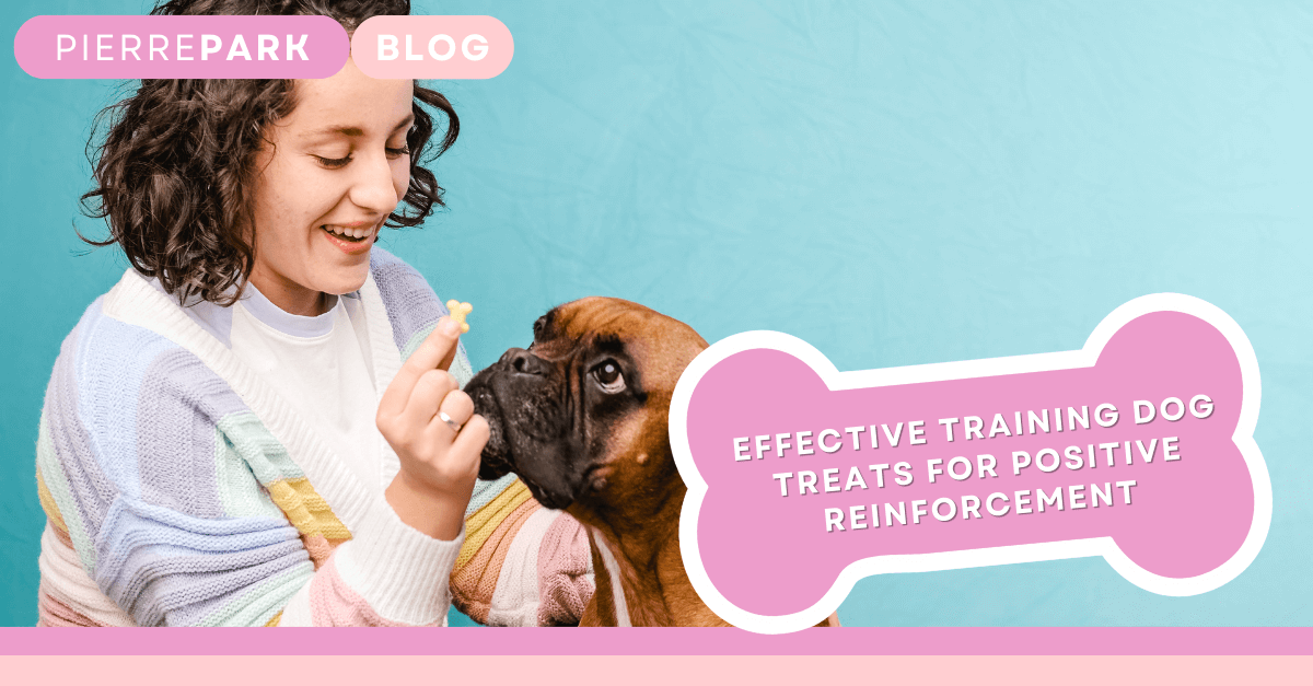 Effective Training Dog Treats for Positive Reinforcement