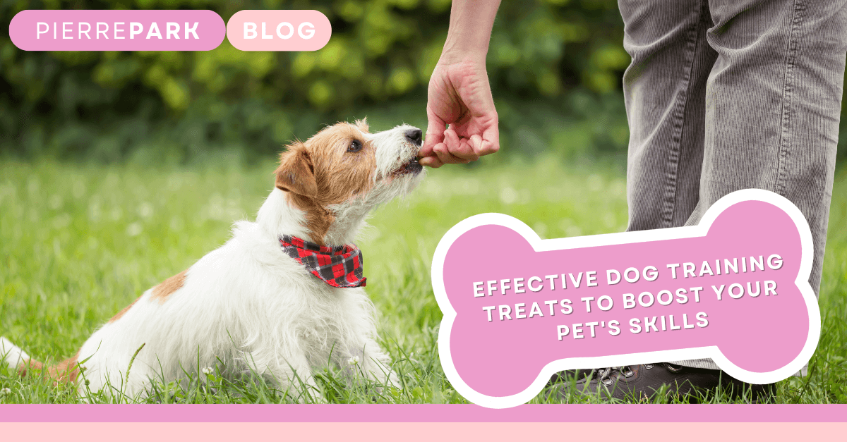 Effective Dog Training Treats to Boost Your Pet's Skills